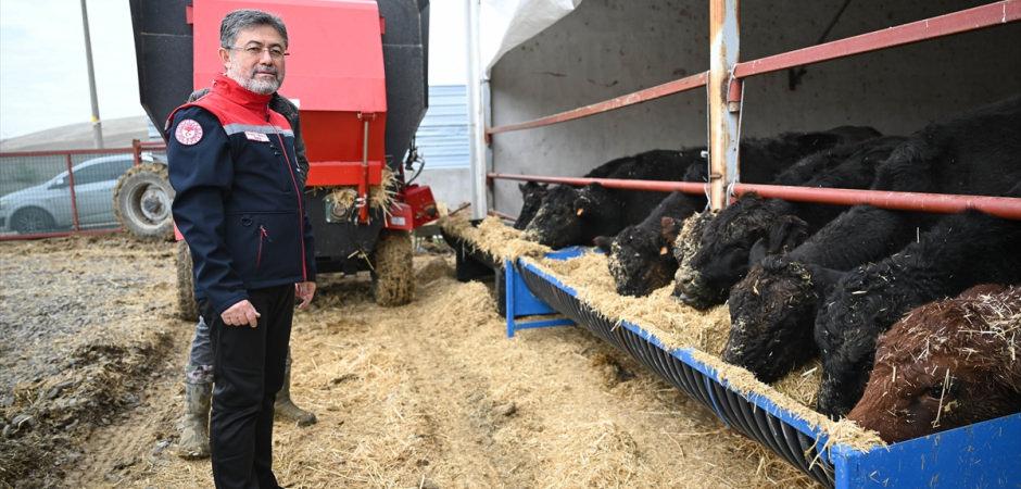 Kırmızı et üretimi için dev hamle! Bakan Yumaklı açıkladı: Hayvanlar sahiplerine ulaşıyor