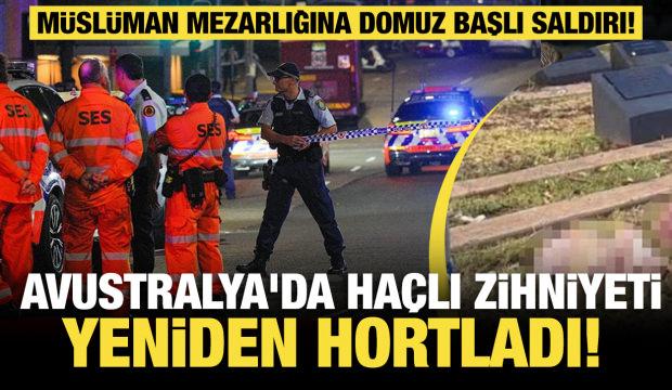 Avustralya'da Haçlı zihniyeti yine hortladı! Müslüman mezarlığına domuz başlı saldırı!