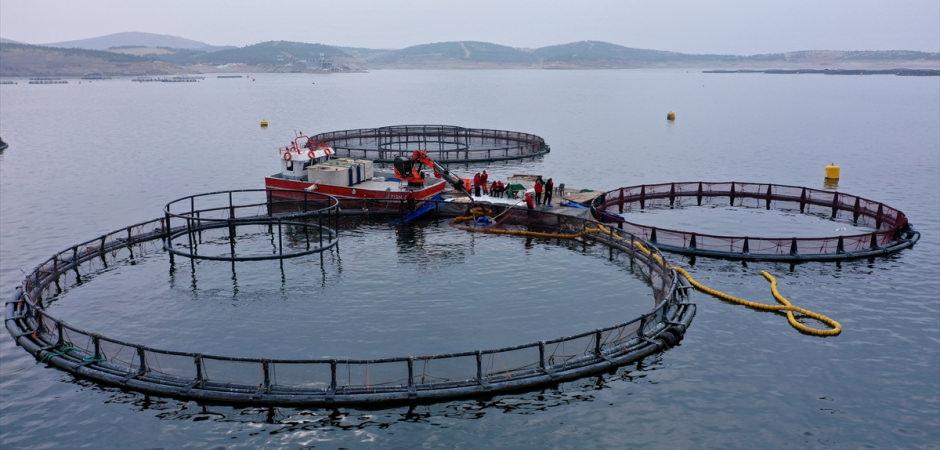 Elazığ'daki tesis havyarda &uuml;retim &uuml;ss&uuml; olmak i&ccedil;in &ccedil;alışıyor