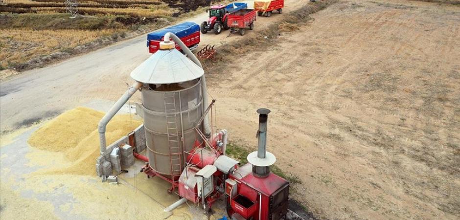 Sinop'ta 9 milyon lira maliyetle &ccedil;eltik kurutma tesisi kurulacak