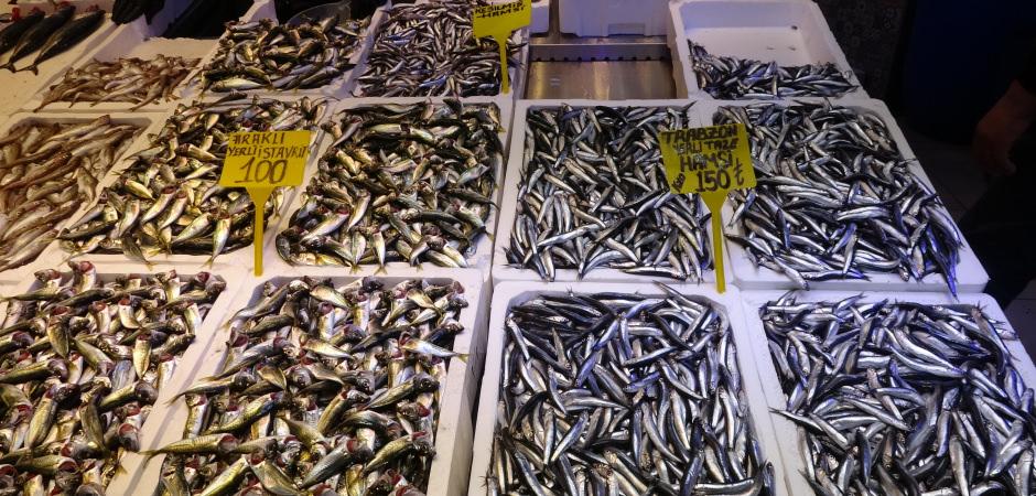 Balık&ccedil;ı tezgahlarında aylar sonra s&uuml;rpriz! Kilosu 150 TL