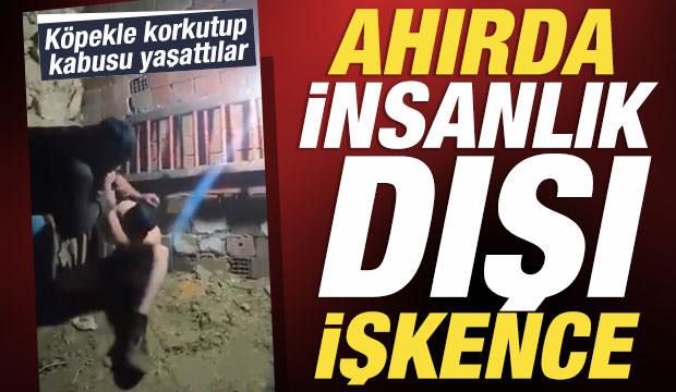 Mardin'de ahırda işkence dehşeti: Serbest bırakılan ş&uuml;pheli i&ccedil;in yeni gelişme