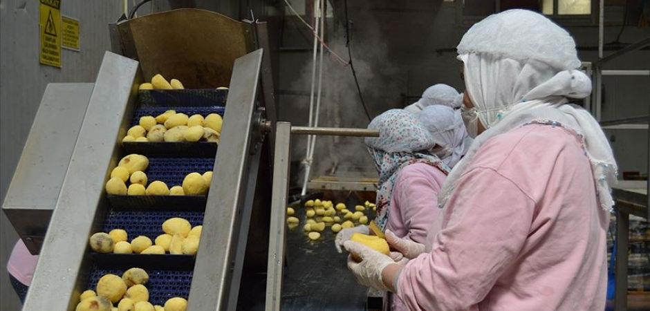 Gıda sekt&ouml;r&uuml;ne ceza yağdı! Piyasayı bozanlara ge&ccedil;it yok