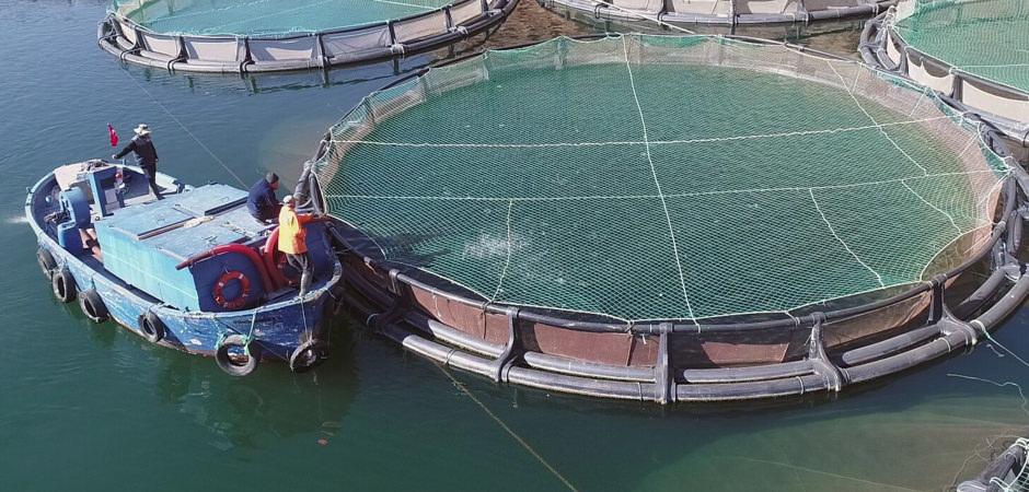 "Ege'de ihracatın 'y&uuml;kselen yıldızı': Herkes d&uuml;şerken bir il başardı