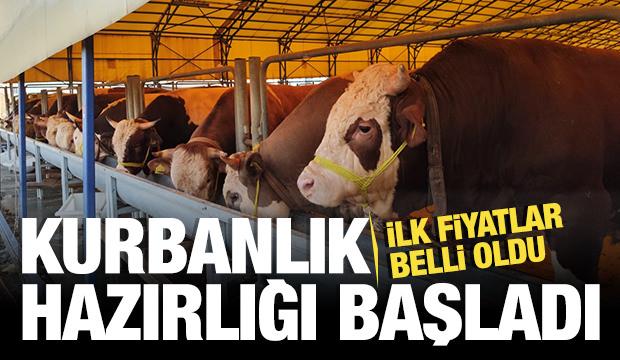 Kurban pazarında hareketlilik başladı