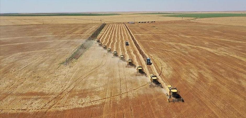 Arazi sahipleri dikkat! Bakanlık duyurdu: T&uuml;m araziler i&ccedil;in yeni kullanım planı geliyor!