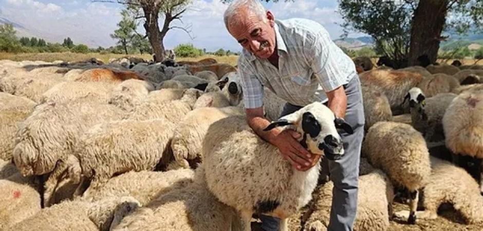 120 bin liraya &ccedil;alışacak iş&ccedil;i bulamıyorlar! Yeni nesil bu sekt&ouml;re yanaşmıyor