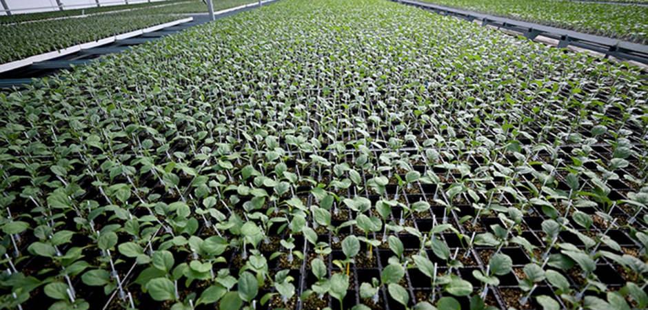 Arkadaş desteğiyle başlamıştı: Şimdi b&ouml;lgenin tedarik&ccedil;isi oldu!