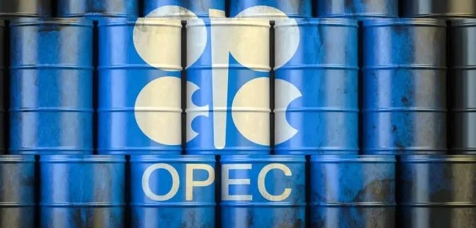 BAE'den OPEC kararı!