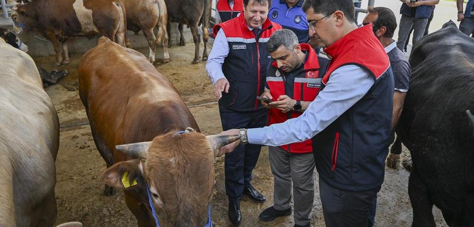 Kurban Bayramı &ouml;ncesi 4 milyonu aşkın hayvan denetlendi