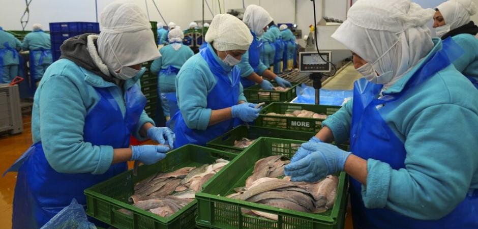 T&uuml;rkiye ge&ccedil;en yıl 133 &uuml;lkeye 2,2 milyar dolarlık su &uuml;r&uuml;nleri ihra&ccedil; etti