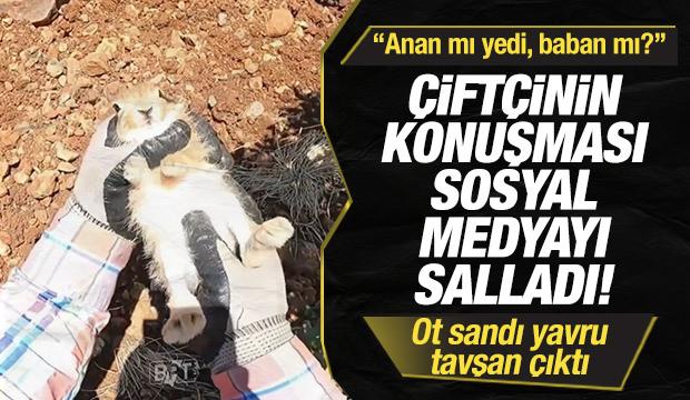 Ot sandı, yavru tavşan &ccedil;ıktı! &Ccedil;ift&ccedil;inin konuşması sosyal medyayı salladı