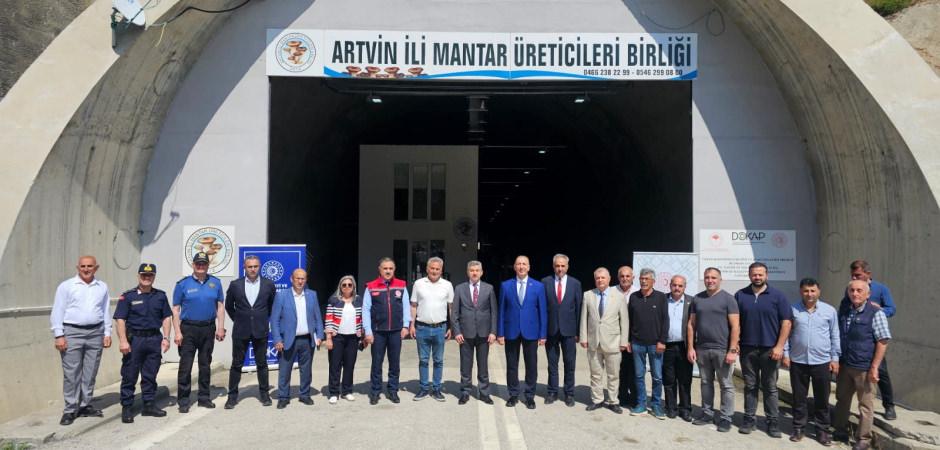 Serada değil t&uuml;nelde yetiştiriliyor! İlk hasat yapıldı: Hedef 360 ton