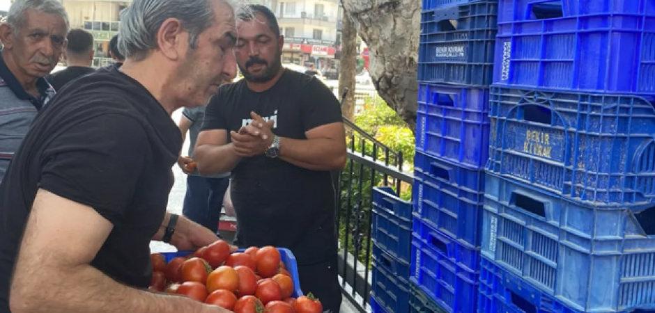 Halde alıcı bulamadı, 4 ton domatesi &uuml;cretsiz dağıttı!
