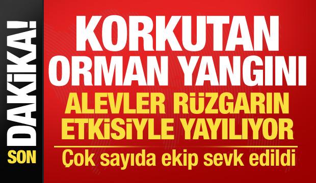 &Ccedil;anakkale'de korkutan orman yangını! Alevler kısa s&uuml;rede yayıldı