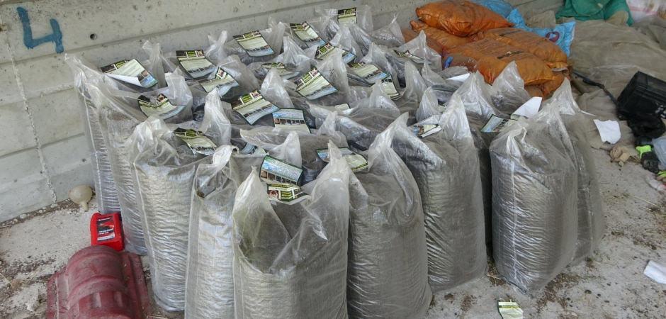 Evinin bah&ccedil;esinde servet kapısı a&ccedil;tı: Yılda 6 tonluk doğal mucize!