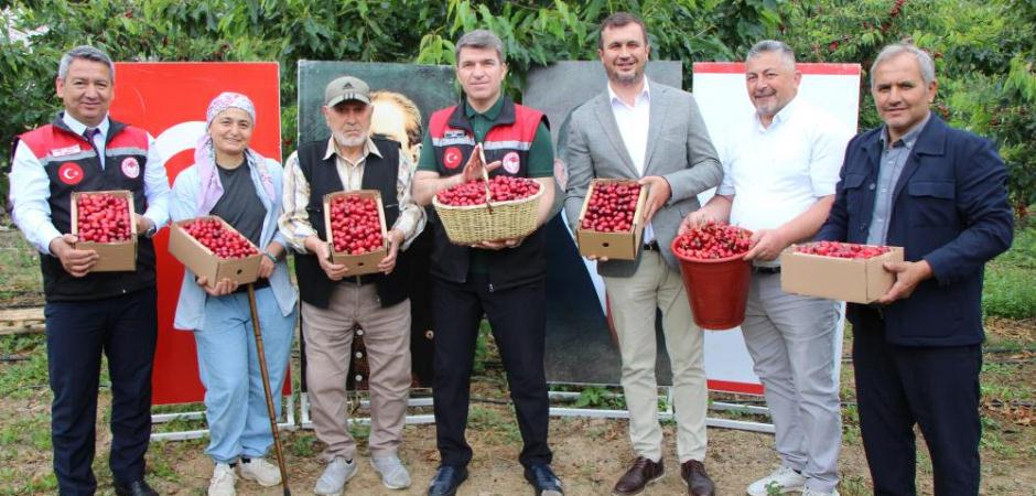 Amasya&rsquo;da dalları kiraz bastı: Bu yıl 50 bin ton rekolte bekleniyor