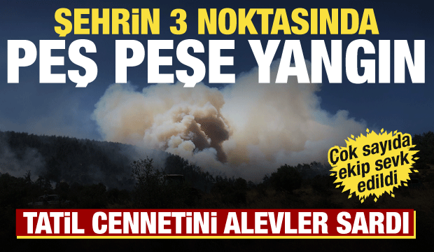 Balıkesir'de peş peşe yangın! Tatil b&ouml;lgesini alevler sardı