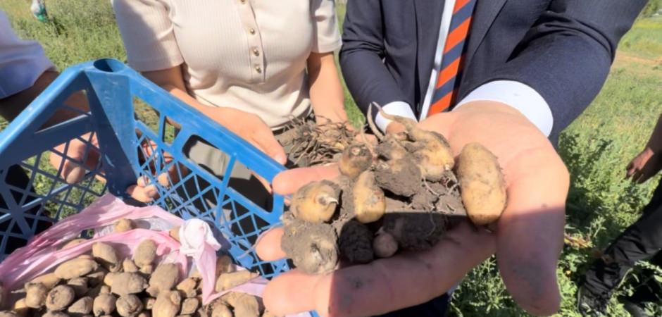 "Yetişmez" deniyordu ekonominin yıldızı oldu: Kilogramı 15 bin liraya satılıyor!