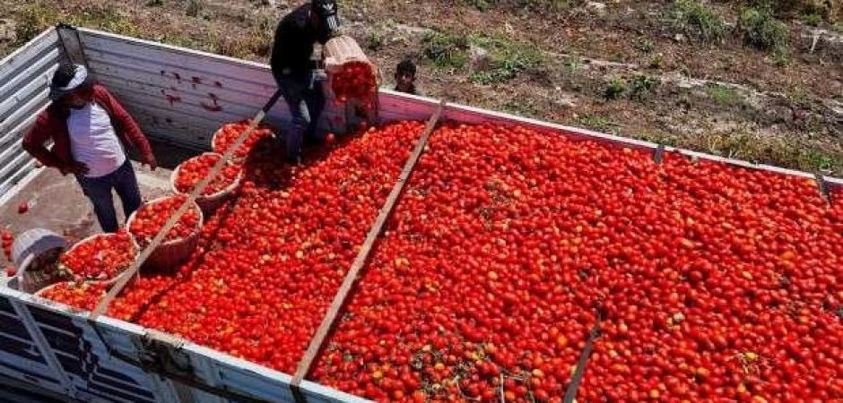 Daha az ihra&ccedil; edildi, daha &ccedil;ok kazandırdı! 