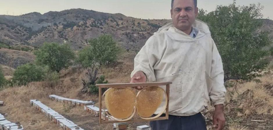 Kilosu 2 bin 200 lira! Bal fiyatları belli oldu