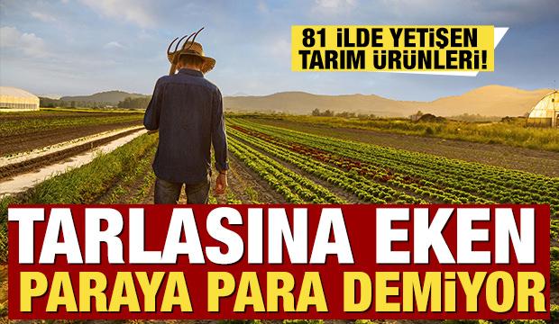 T&uuml;rkiye'nin 81 ilinde yetişen tarım &uuml;r&uuml;nleri! Tarlasına eken paraya para demiyor