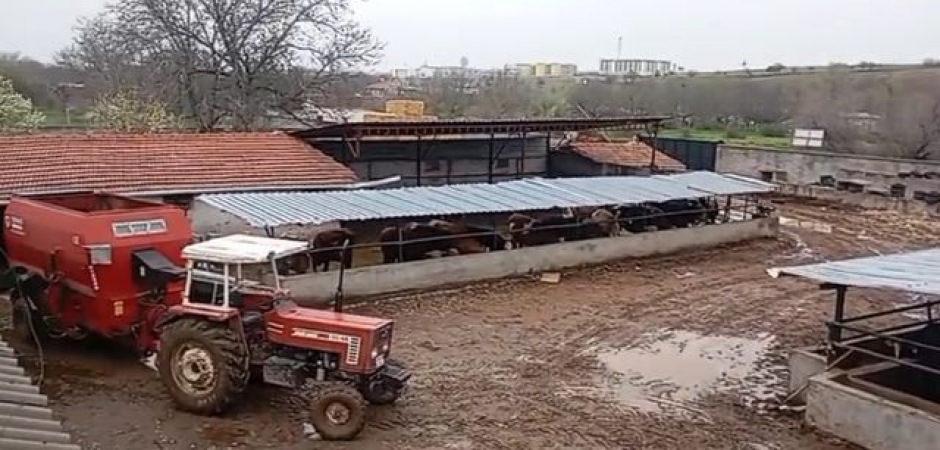 Hem koyunları &ccedil;aldı hem de aramasına yardım etti! Akıllara durgunluk veren olay