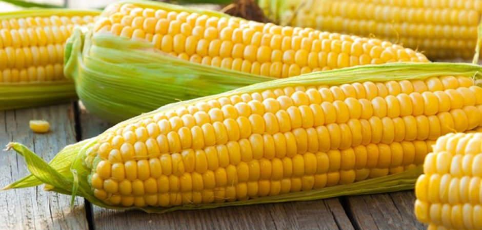 Mısır fiyatları son 3 yılın zirvesinde! El Nino etkisini g&ouml;sterdi
