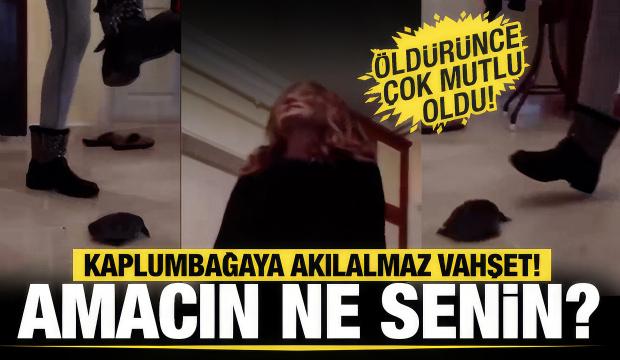 Sokakta buldukları kaplumbağayı eve getirerek  işkence ettiler