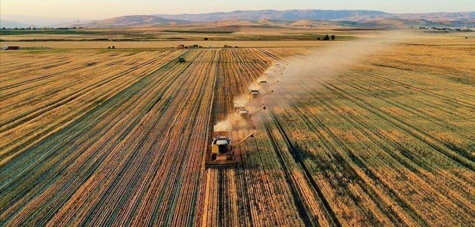 Tarımda Cumhuriyet tarihi rekoru: T&uuml;rkiye d&uuml;nyada 7'nci sıraya y&uuml;kseldi