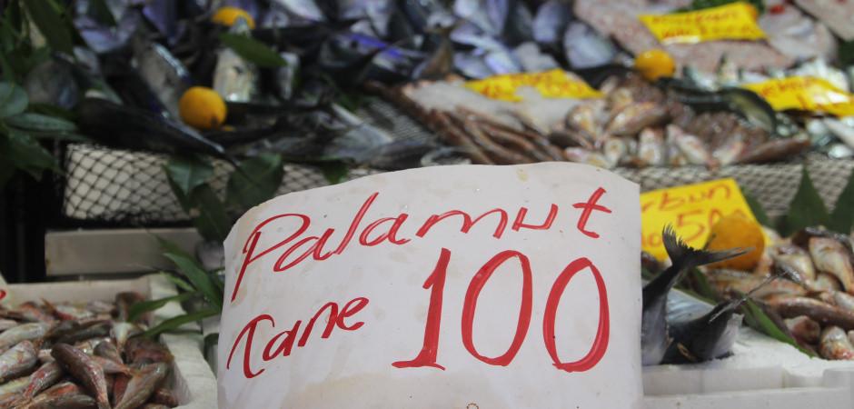Ge&ccedil;en yılki palamut hasreti bitti: Rakamı duyan vatandaş akın etti