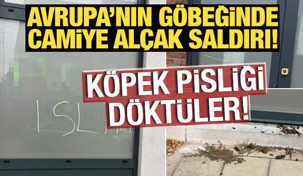 Avrupa'nın g&ouml;beğinde camiye al&ccedil;ak saldırı! K&ouml;pek pisliği d&ouml;kt&uuml;ler