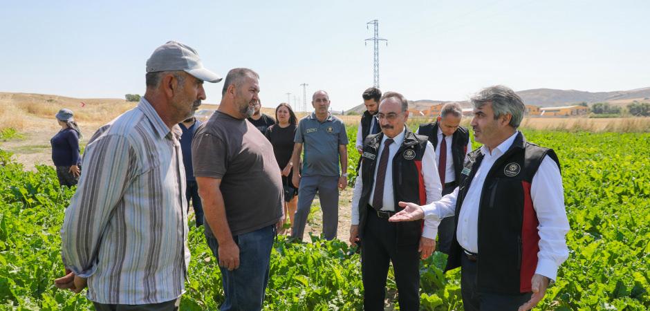 T&Uuml;RKŞEKER yeni &uuml;retim hedefini a&ccedil;ıkladı: 14 fabrika 85 milyonun malıdır