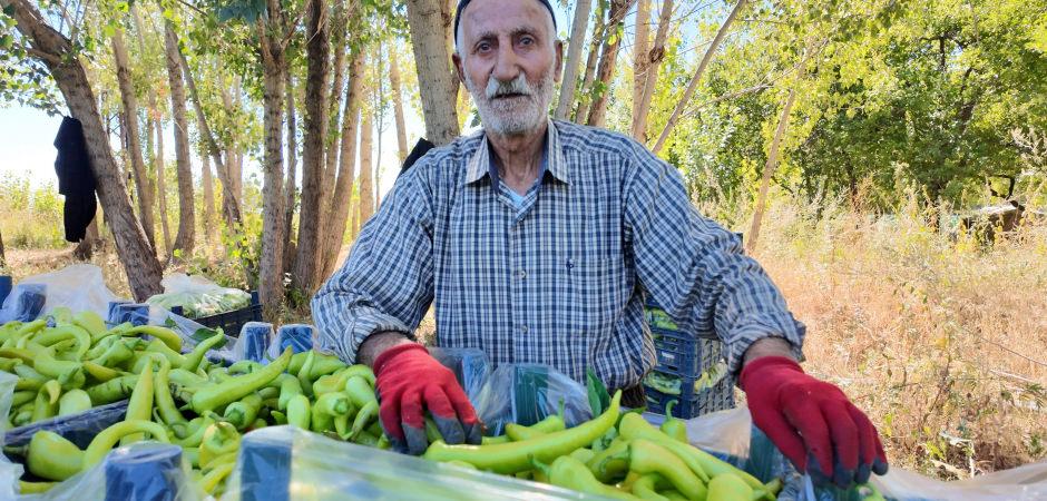 86 yaşında &uuml;retime devam ediyor: G&uuml;nl&uuml;k 6 ton satıyor