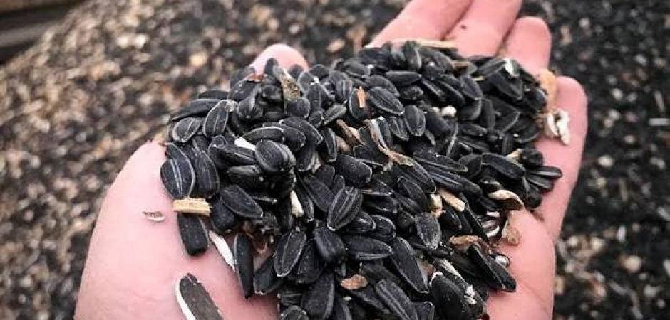 Yağlık ay&ccedil;i&ccedil;eğinde &ouml;n alım fiyatı a&ccedil;ıklandı!