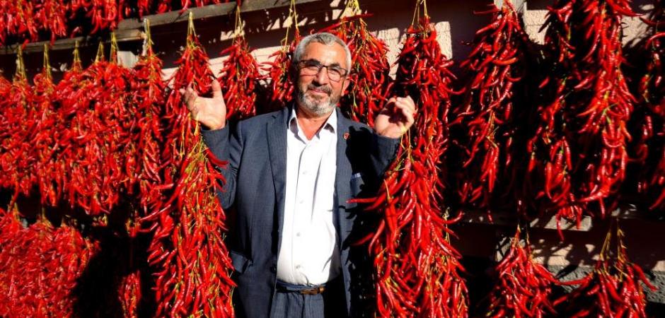 Hasat bitti, k&ouml;y kırmızıya boyandı: Bu k&ouml;y&uuml; g&ouml;rmek i&ccedil;in tur d&uuml;zenliyorlar!