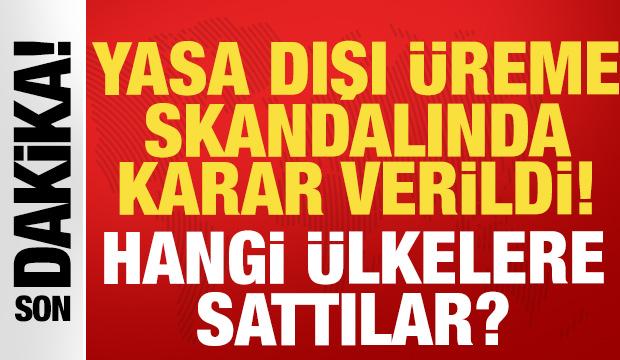 Son dakika: Yasa dışı &uuml;reme skandalında karar &ccedil;ıktı! Hangi &uuml;lkeler sattılar?
