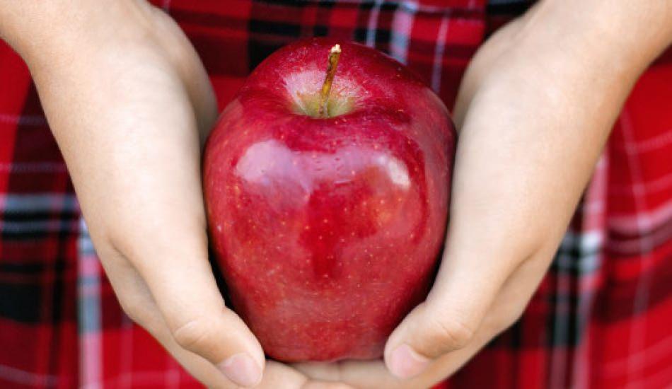 Çürük elmalar nasıl değerlendirilir? - Pratik Bilgiler ...