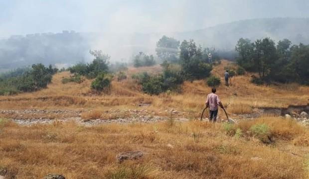 Antalya'da orman yangını: 20 dönüm kül oldu - GÜNCEL Haberleri