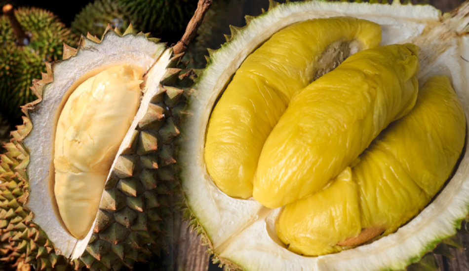  Durian  meyvesinin faydalar nelerdir Durian  hangi 