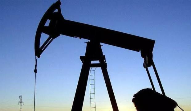 Petrol fiyatları sakin seyrediyor - Vimarsana News