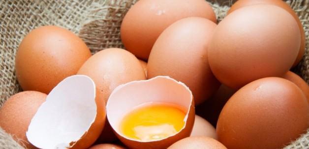 Tavuk eti ve yumurta risk altında mı? SAĞLIK Haberleri