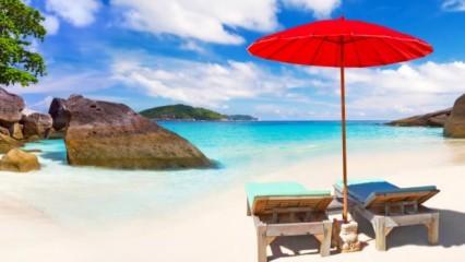 Evde cilt serumu nasıl yapılır? - Güzellik Haberleri