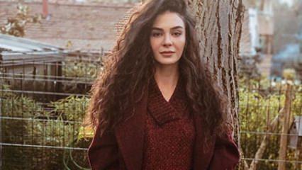 Hercai ne demek? Hercai kelimesi ne anlama geliyor ...