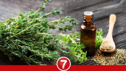 Aspir yağı faydaları nelerdir, nasıl kullanılır? Aspir ...