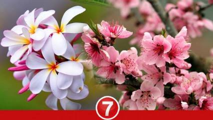 Rüyada yağmur yağdığını görmek neye işaret? Rüyada yağmurda yürümek ve