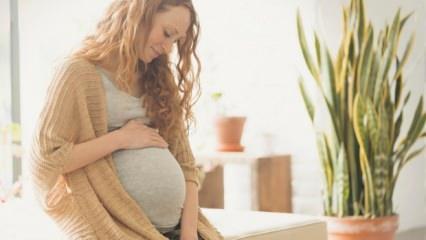 Rüyada bekar birini hamile görmek neye işarettir? Rüyada hamile kadın