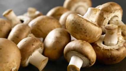 Rüyada ölmüş dedeyi görmek neye işaret eder? Rüyada ölmüş dedeyi diri