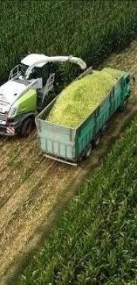 Tarıma yönelik hazine destekli finansmana ilişkin limitler düzenlendi