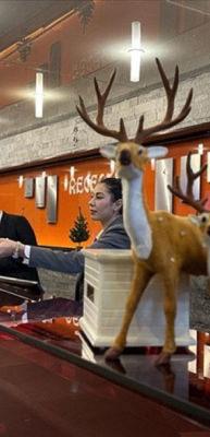 Antalya otellerinde yılbaşı yoğunluğu: Rezervasyonlar başladı!